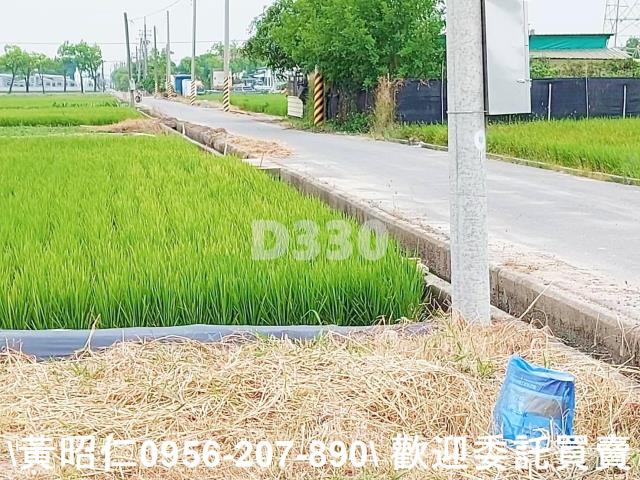 台南農地-8