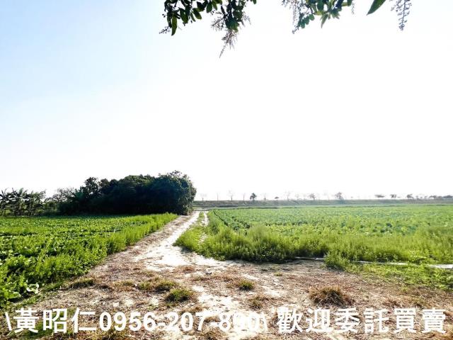 台南仁德農地-2