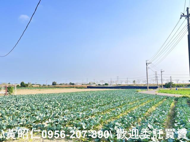 台南仁德農地-4