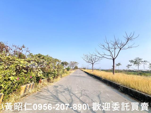 台南仁德農地-5