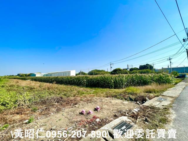台南安南農地-1