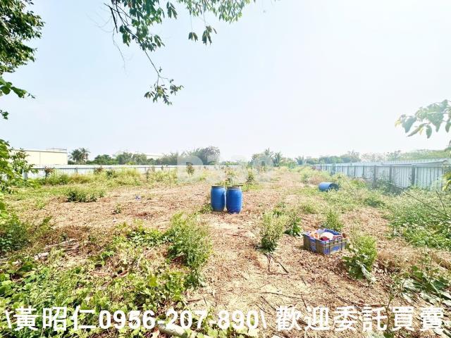 台南農地-3