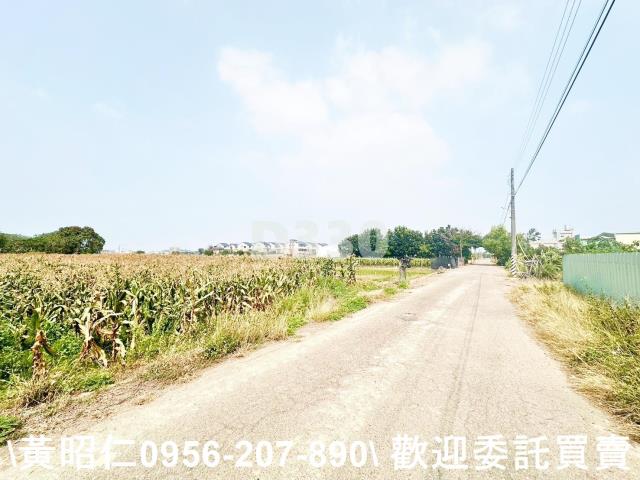 台南農地-5