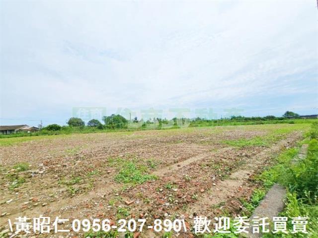 台南新市農地-0