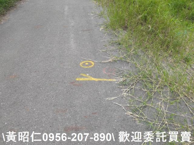 台南七股農地-3