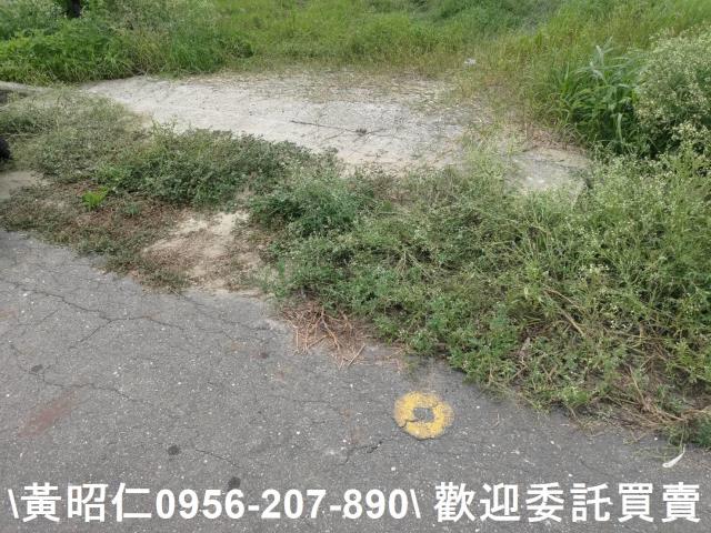 台南七股農地-6