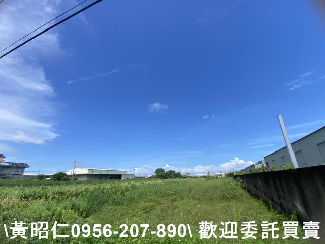 安定農地-5