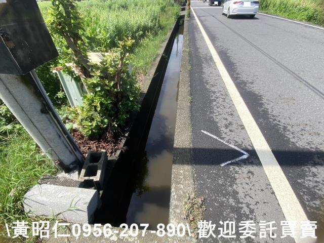 安定農地-6