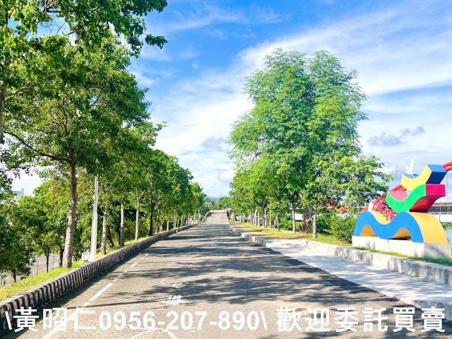 台南仁德農地-1