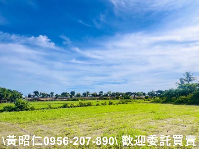 台南仁德農地-0