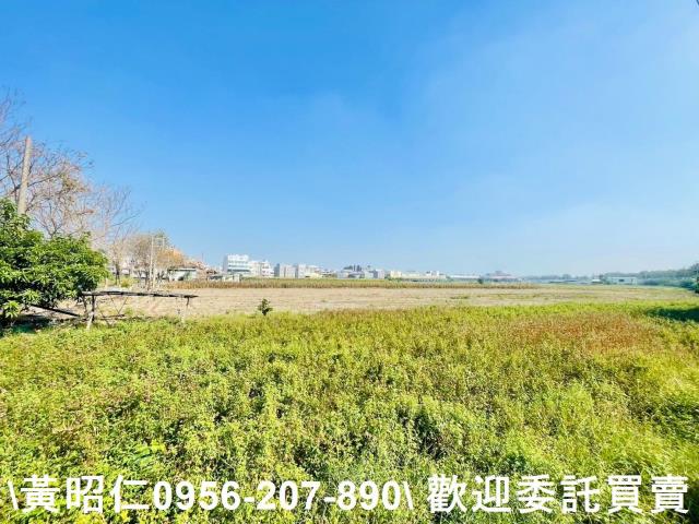 台南仁德農地-5