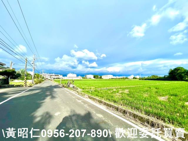 善化農地-1