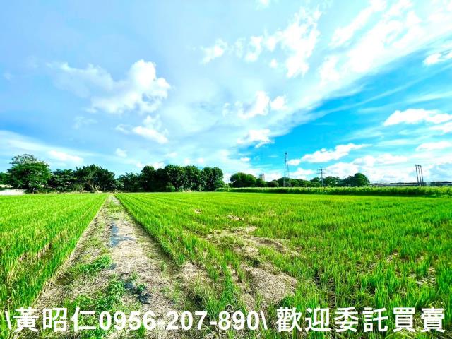 善化農地-3