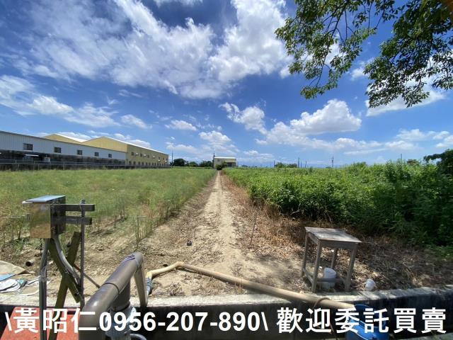 佳里農地-3