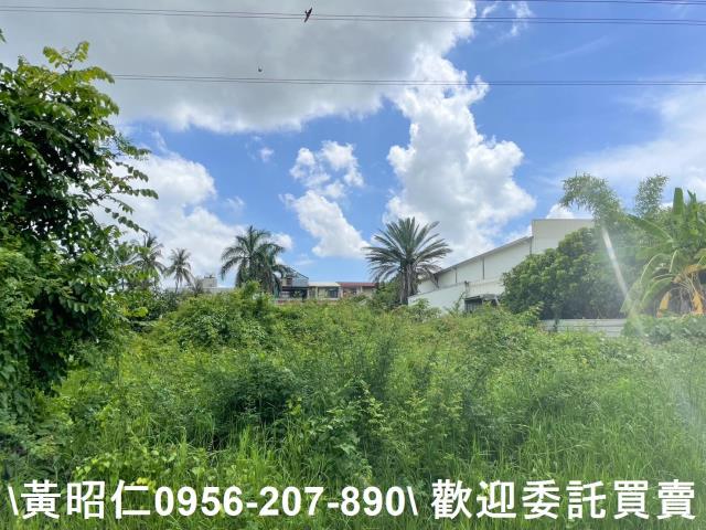 台南仁德農地-5