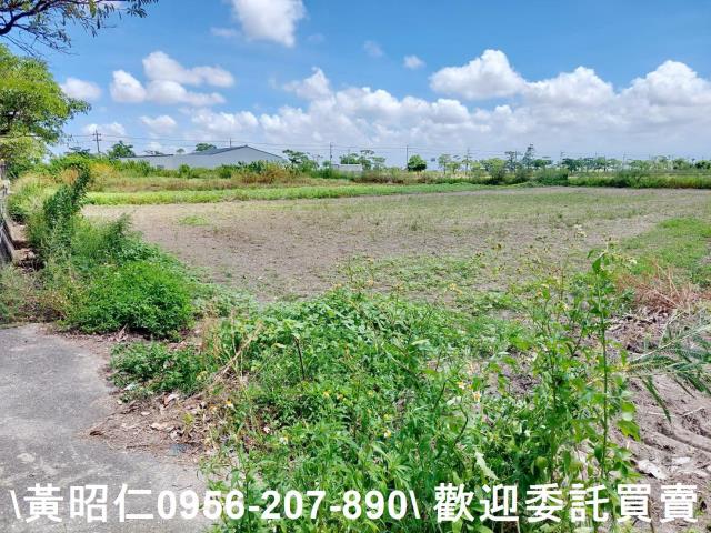 台南佳里農地-4