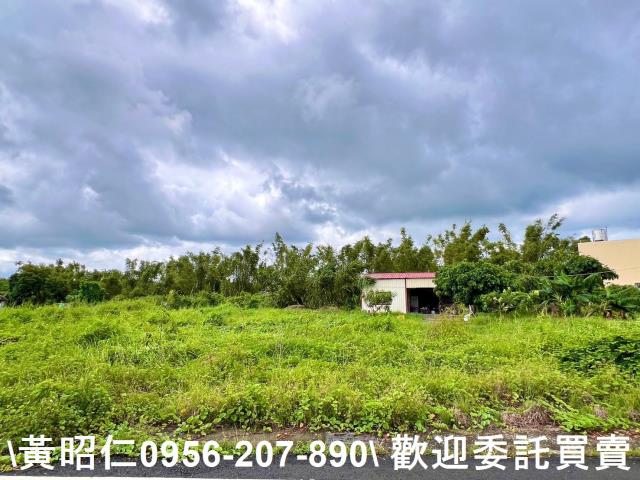 台南關廟農地-4