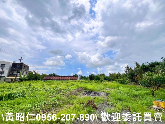 台南關廟農地-7