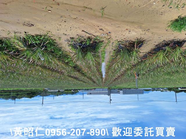 山上農地-4