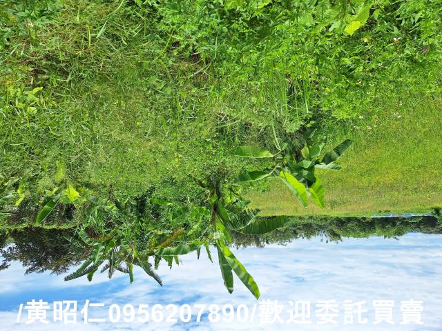 山上農地-4