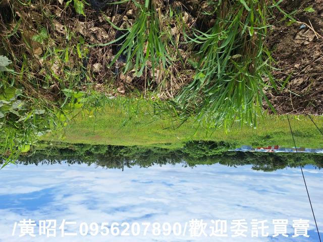 山上農地-8
