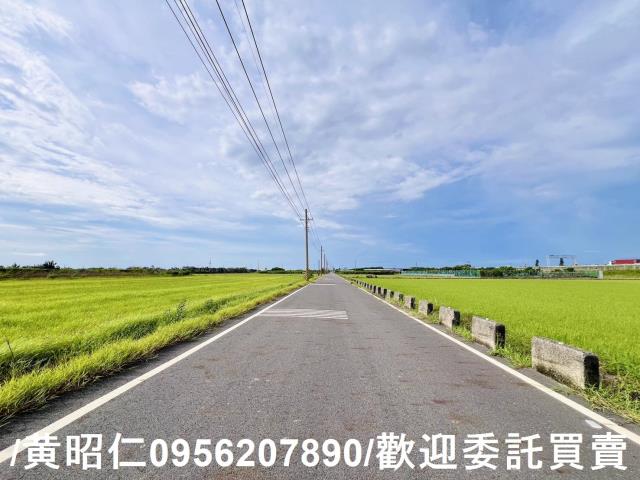 麻豆農地-0