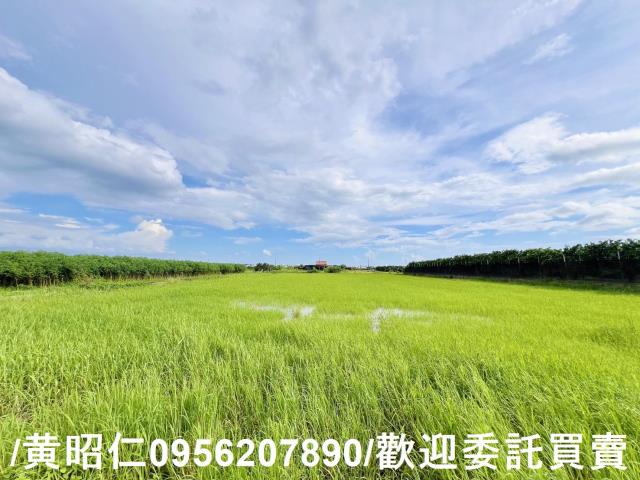 麻豆農地-3