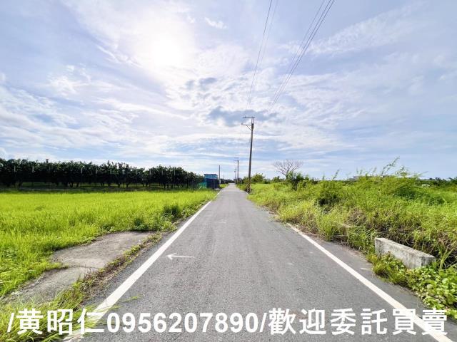 麻豆農地-4