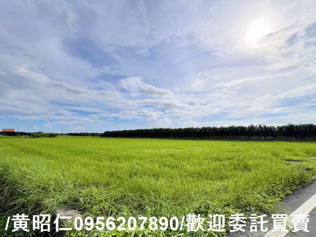 麻豆農地-6