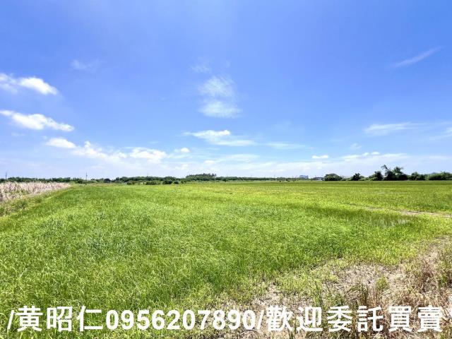 台南佳里農地-4