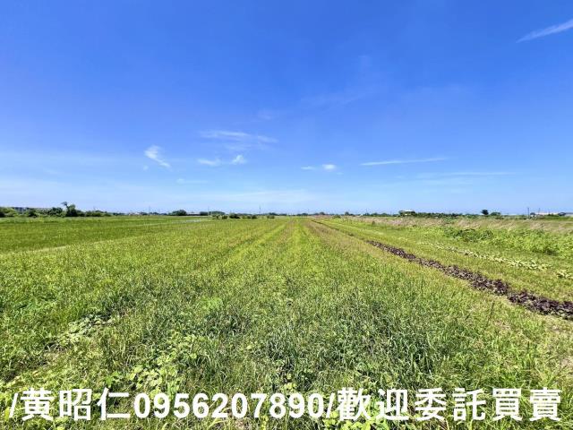 台南佳里農地-8