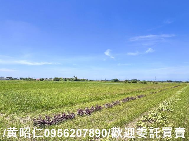 台南佳里農地-9
