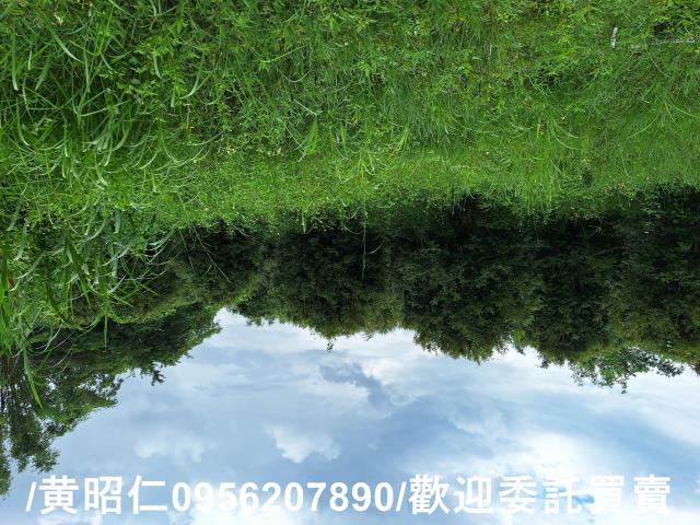 台南左鎮農地-1