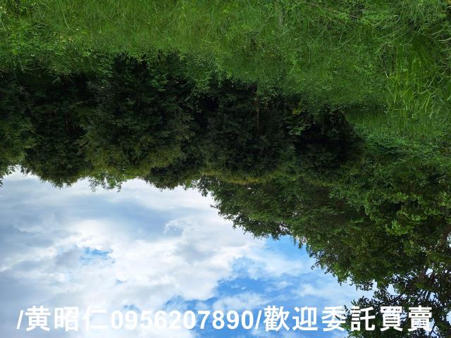 台南左鎮農地-2