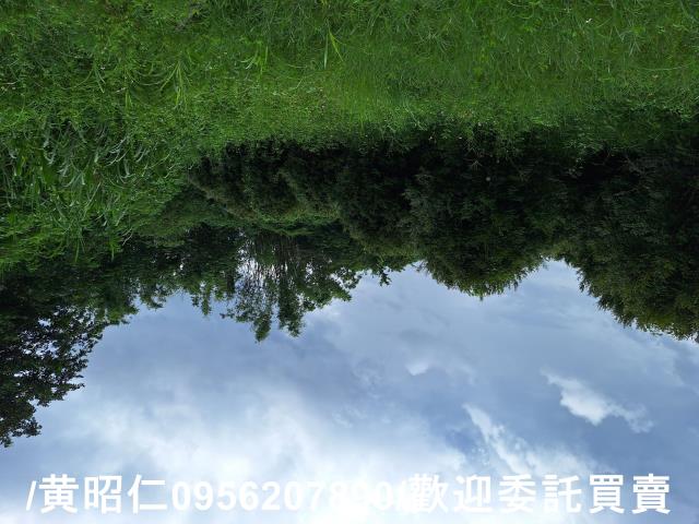 台南左鎮農地-5