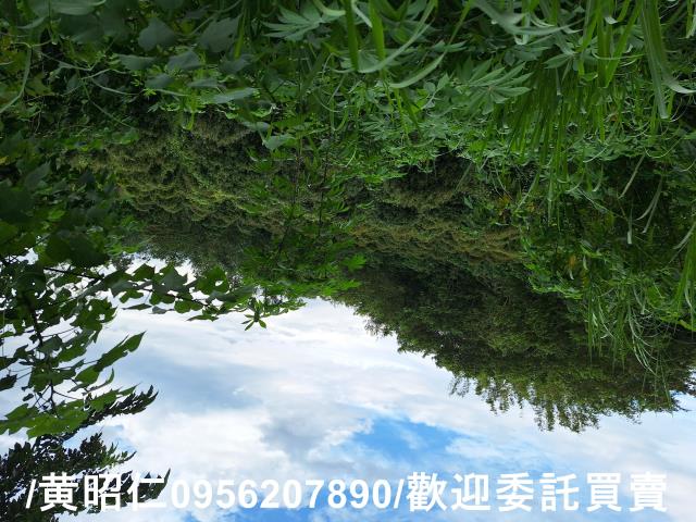 台南左鎮農地-6