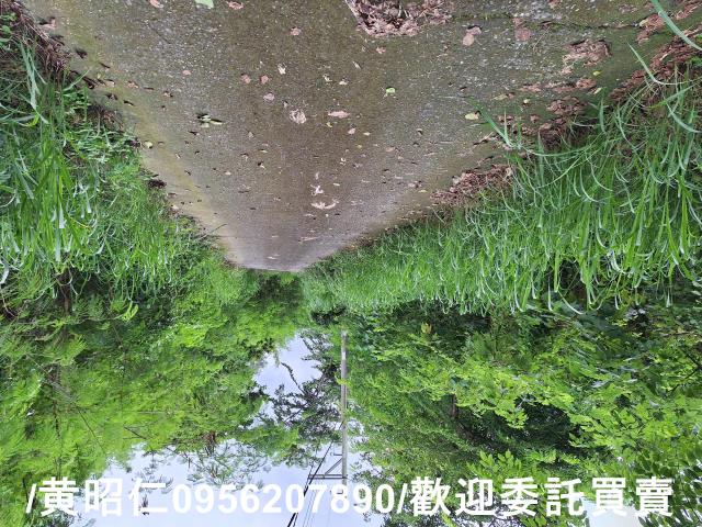 台南左鎮農地-0