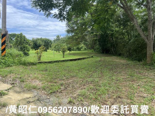 台南左鎮農地-2