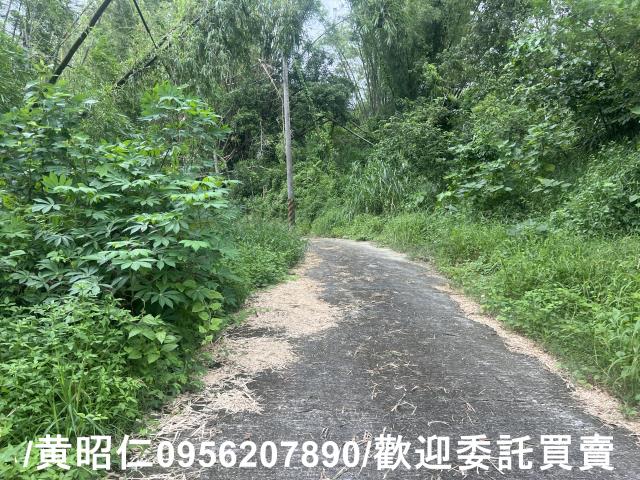 台南左鎮農地-5
