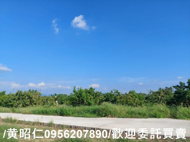 台南山上農地-3