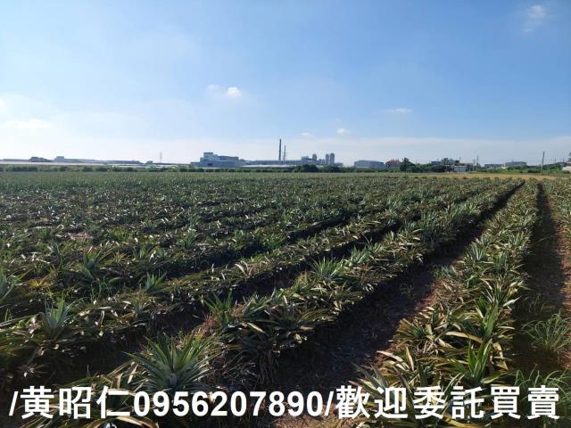 台南山上農地-5