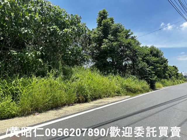 玉井農地-2