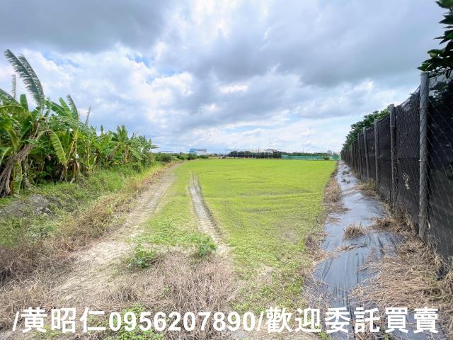 台南麻豆農地-3