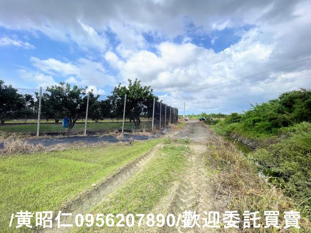 台南麻豆農地-6