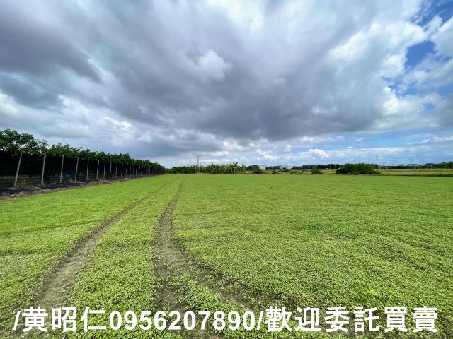 台南麻豆農地-8