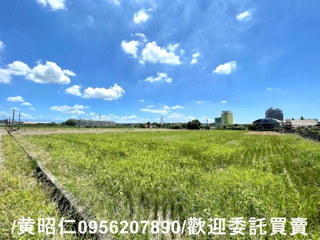台南善化農地-5