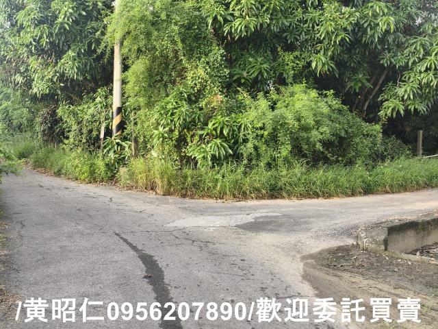 台南南區農地-2