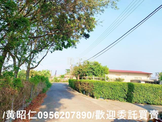 台南麻豆農地-0