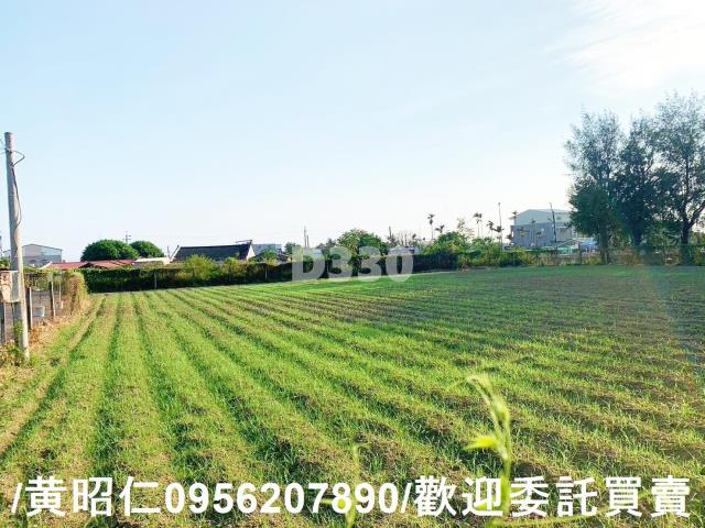 台南麻豆農地-3