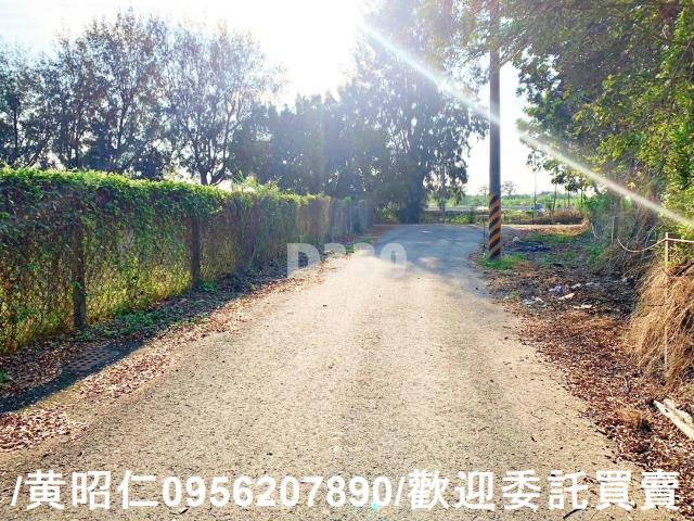 台南麻豆農地-4